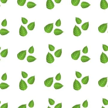 Seamless pattern with decorative green raspberry leaves on white background.  Stock Illustration