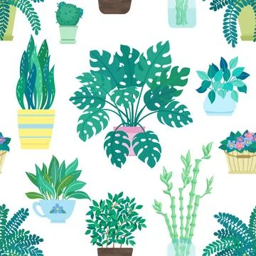 Seamless pattern of decorative houseplants isolated on white background. tr.. Stock Illustration