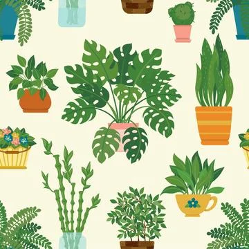 Seamless pattern of decorative houseplants isolated on background. trendy p.. Stock Illustration