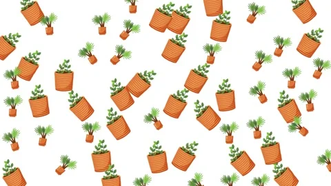 Seamless pattern of decorative indoor hanging plants and potted succulent stands Stock Footage 345539486