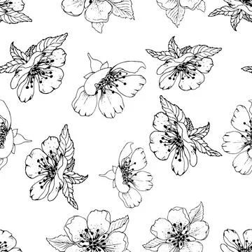 Seamless pattern with decorative leaves isolated on white. Twig with leaves,  Stock Illustration