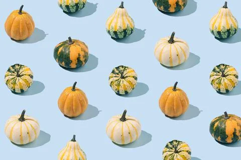 Seamless pattern with decorative pumpkins on a blue background. Stock Photos