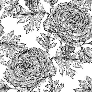 Seamless pattern with decorative ranunculus, for invitations, cards, scrapbook Stock Illustration