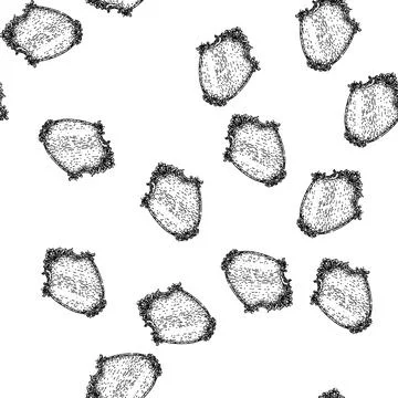 Seamless pattern decorative vintage mirror sketch hand drawn Illustrazione stock