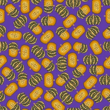Seamless pattern Delica Winter Squash Flat design イラスト素材