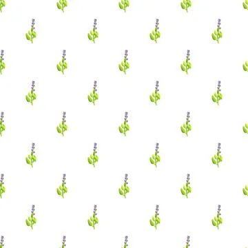 Seamless pattern with delicate lavender flower sprigs Stockillustratie