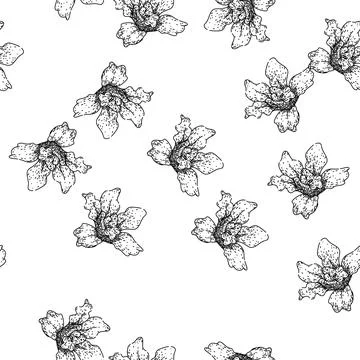 Seamless pattern dendrobium orchid sketch hand drawn Stock Illustration