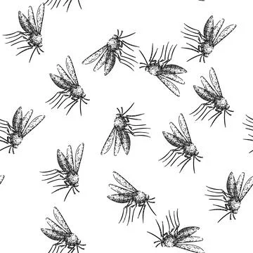 Seamless pattern dengue mosquito sketch hand drawn Stock Illustration