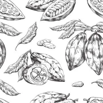 Seamless pattern design with cacao beans engraving vector illustration. Illustrazione stock