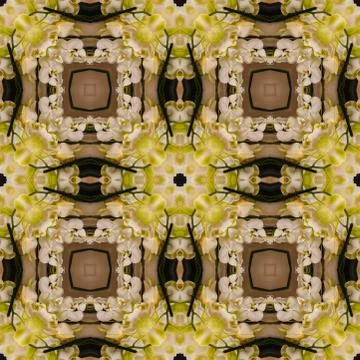 A seamless pattern, a design element for a website or blog post. Textiles, wa Foto stock