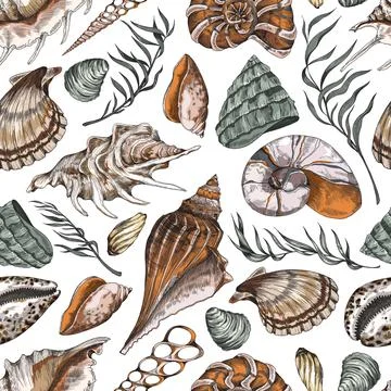 Seamless pattern design with hand drawn shells, engraving vector illustration. Illustrazione stock