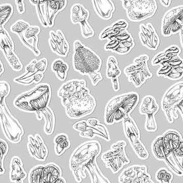 Seamless pattern design with mushrooms and toadstools, vector illustration. Stock Illustration