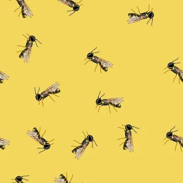 Seamless pattern Detailed of a yellow and black wasp insect Stock Illustration