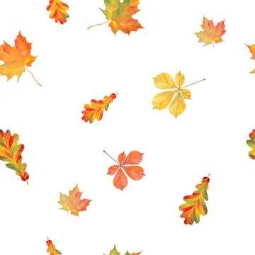 Seamless pattern with different autumn leaves. Oak, chestnut and maple leaves Stock Illustration