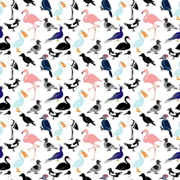 Seamless pattern with different birds on white background. Pelican, flamingo, Stock Illustration