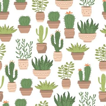 Seamless pattern different cute cactus and succulents in pots on white Stock Illustration