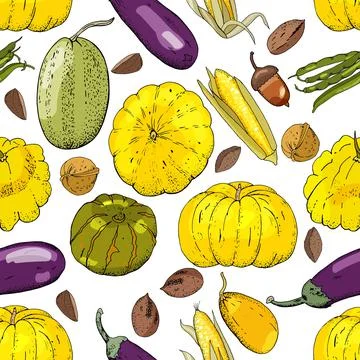 Seamless pattern with different fresh vegetables isolate on white. Endless te Stock Illustration