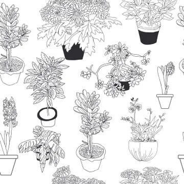 Seamless pattern of different house plants on white background Stock Illustration