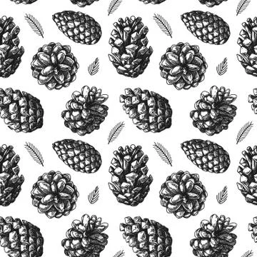 Seamless pattern with different pine cone. Sketch, hand drawn Stock Illustration