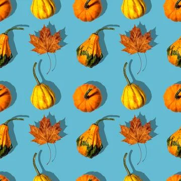 Seamless pattern different pumpkins on a blue background Stock Photos