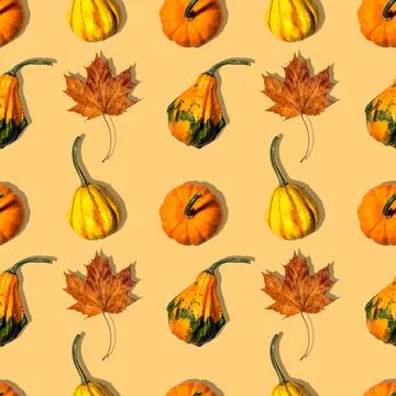 Seamless pattern different pumpkins on a orange background Stock Photos