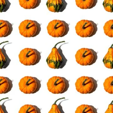 Seamless pattern different pumpkins on a white background Stock Photos