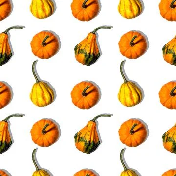 Seamless pattern different pumpkins on a white background Foto stock