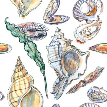 Seamless pattern of different shells, mollusk, seaweed, watercolor illustrati イラスト素材