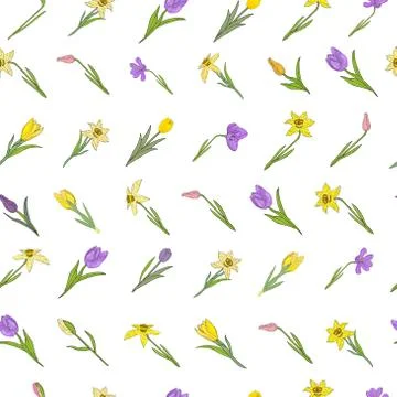 Seamless pattern with different spring flowers. Isolated on white background. Stock Illustration
