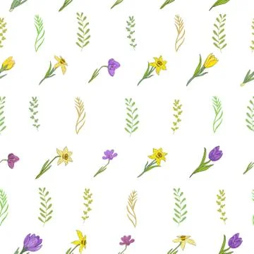 Seamless pattern with different spring flowers.Crocuses, daffodils and herbs. Stock Illustration