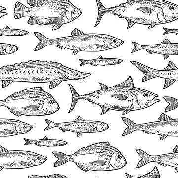 Seamless pattern different types of fish. Tilapia, dorado, tuna, salmon, an.. Stock Illustration