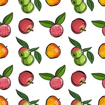 Seamless pattern. Different varieties of apples with leaves on a white Stock Illustration