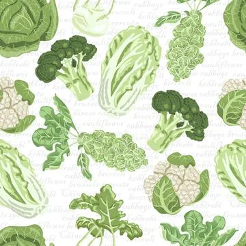 Seamless pattern with different varieties of cabbage Stock Illustration