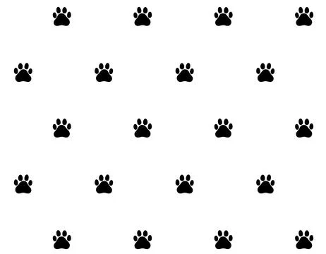 Seamless pattern of dog footprints on an isolated background.Vector seamles.. Stock Illustration