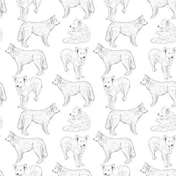 Seamless pattern with dogs. shepherd. sketch drawing. black contour on a whit Stock Illustration