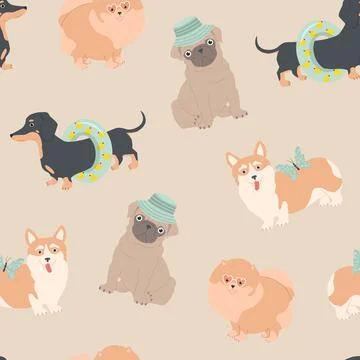 Seamless pattern with dogs. Summer funny illustration for kids. Dachshund, po 库存插图