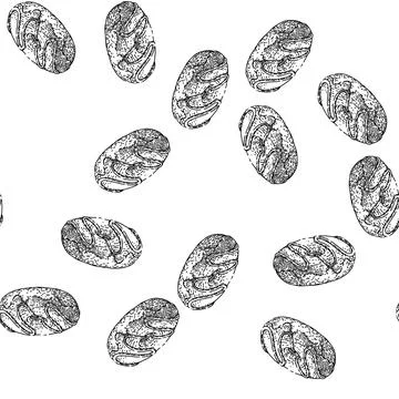 Seamless pattern donut food sketch hand drawn Stock Illustration