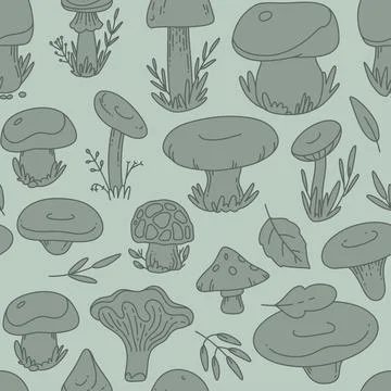 Seamless pattern doodle poisonous, edible mushroom Illustrazione stock