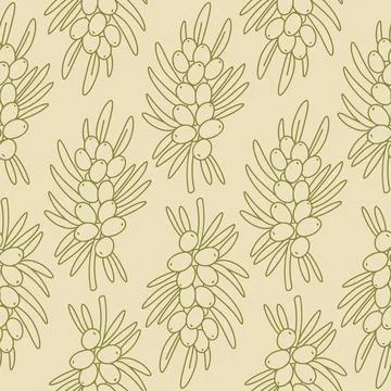Seamless pattern with doodle sea buckthorn branch. Vector orange berry. Stock Illustration