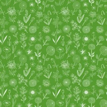 Seamless pattern with doodle sketch flowers. Can be used for wallpaper, patte Illustrazione stock