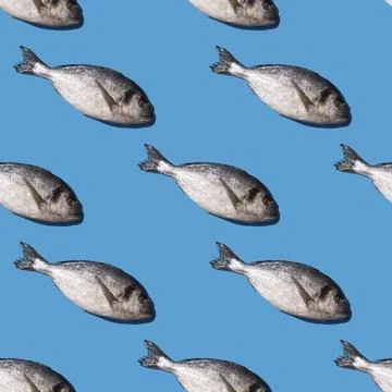 Seamless pattern with dorado fish on a bright blue background with hard shadows Stock Photos