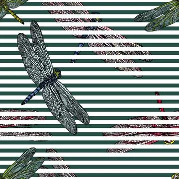 Seamless pattern with dragonfly. Illustrazione stock