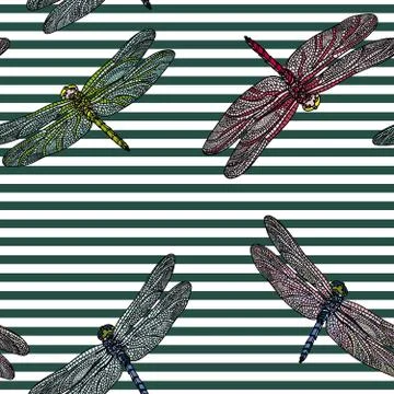 Seamless pattern with dragonfly. Stock Illustration