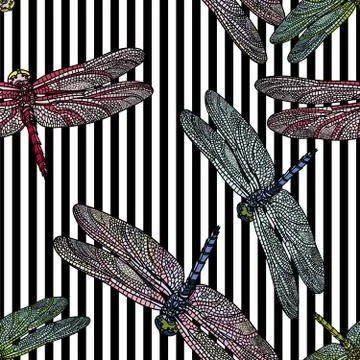 Seamless pattern with dragonfly. Stock Illustration