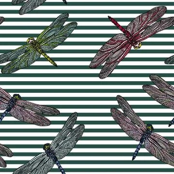 Seamless pattern with dragonfly. Stock Illustration