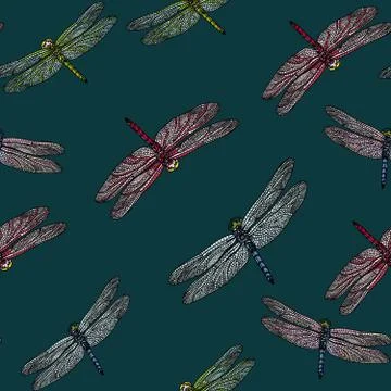 Seamless pattern with dragonfly. Stock Illustration
