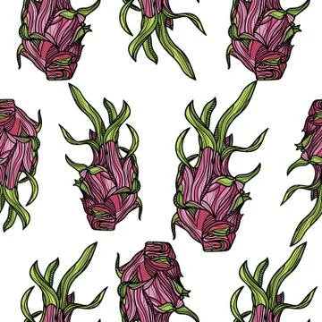 Seamless pattern with dragonfruit or pitahaya. Stock Illustration