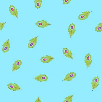 Seamless pattern drawing feather exotic bird cartoon vector Stockillustratie