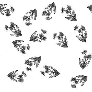 Seamless pattern drawing forget me not sketch hand drawn イラスト素材