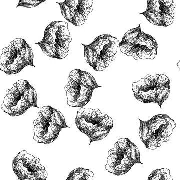 Seamless pattern drawing hellebore sketch hand drawn Stock Illustration